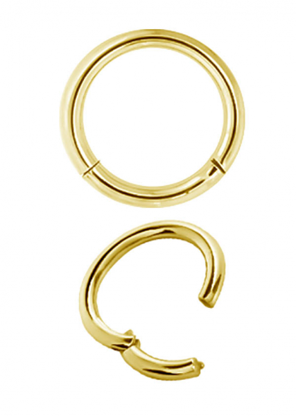 24K GOLD PVD TITANIUM HINGED SEGMENT RING