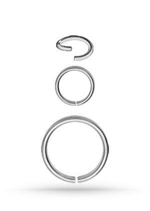 SS316L CONTINOUS RING