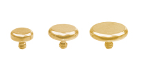 24K GOLD PVD TITANIUM INTERNAL ATTACHMENT (DISC)