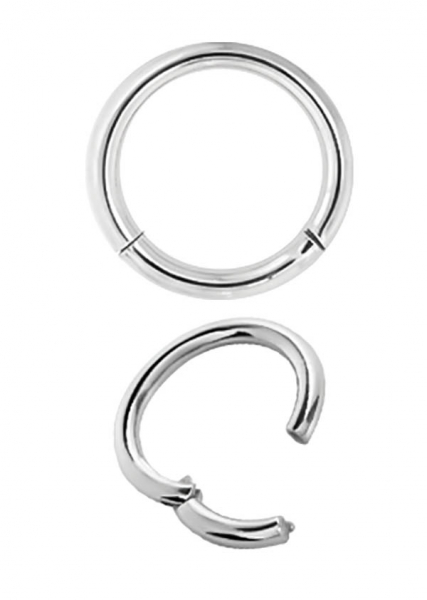 TITANIUM HINGED SEGMENT RING